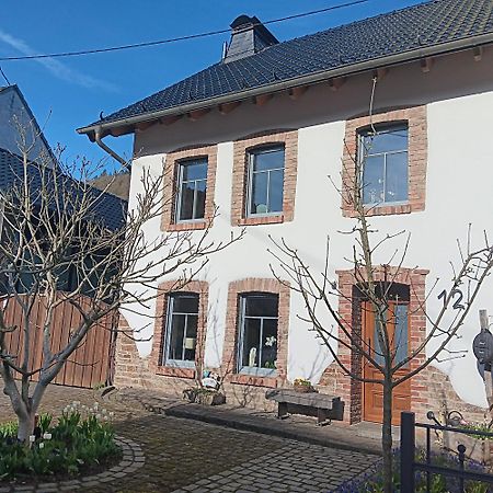 Eifler Brunnenhaus Villa Dumpelfeld Exteriör bild